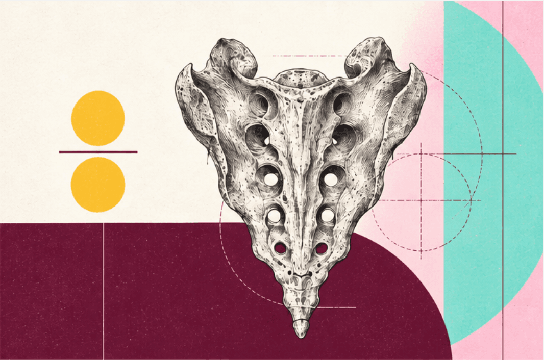 An engraved sacrum held within measured lines and geometric color fields